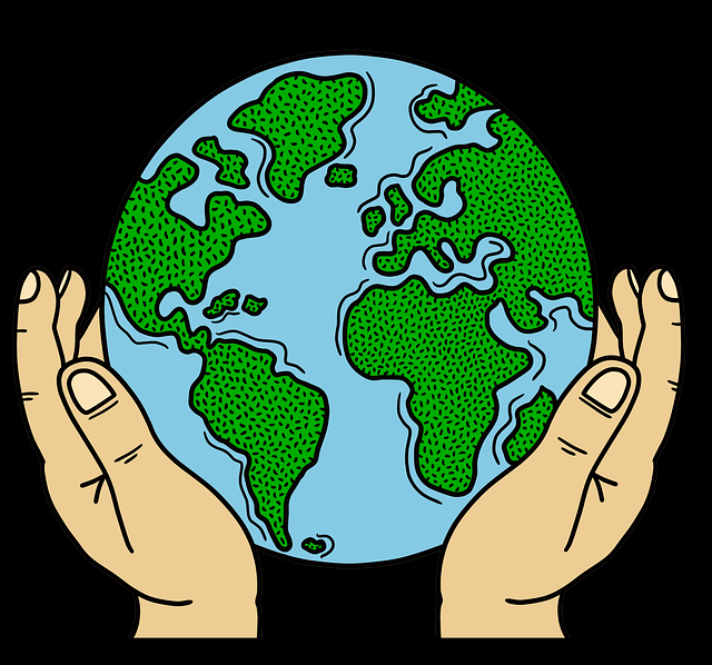 破圈催化51爆料，商业模式《真相》