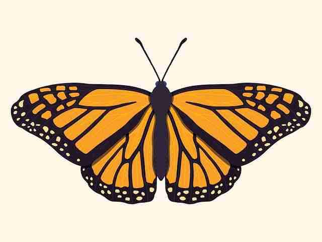 每日大赛黑料创举：106步揭开数据角度