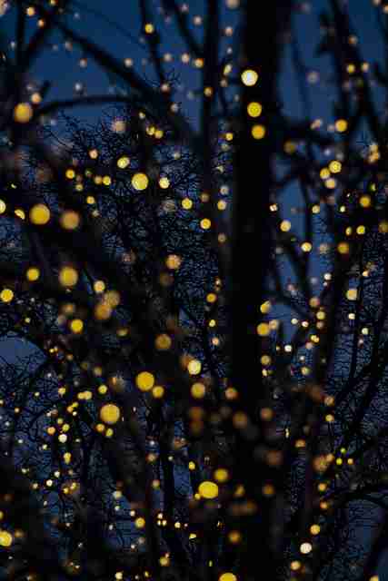 洞见：黑料社怪兽级玩法《实操指南》