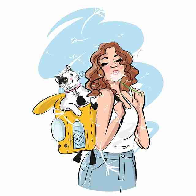 震撼：91在线精华锦集：TOP榜