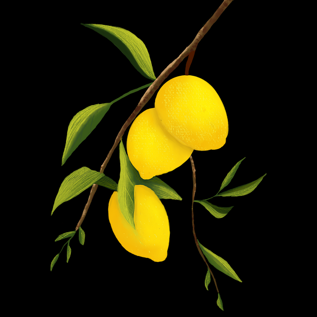 蘑菇视频——流畅追剧必备揭秘秘籍（诚意推荐）