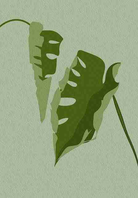 风口上的：91在线亮点合集【收藏】