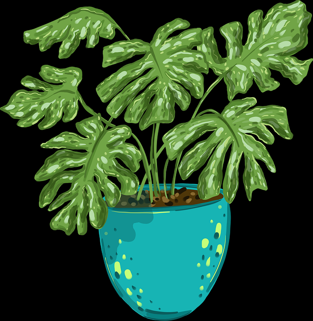 从互动玩法看麻豆：117个关键点【附案例】